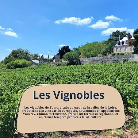 L'appart - A 2 Min De La Gare - Bureau - Wifi - 6v * Tours